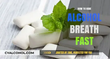 Quick Tips to Conceal Alcohol Breath Instantly and Effectively