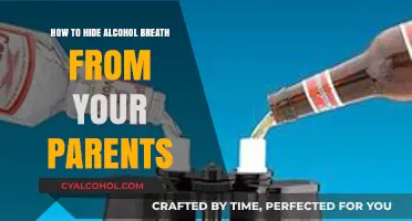 Concealing Alcohol Breath: Tricks to Avoid Parental Detection