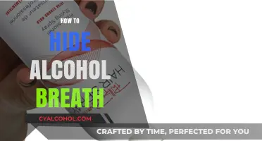 Quick Tips to Conceal Alcohol Breath: Freshen Up Fast
