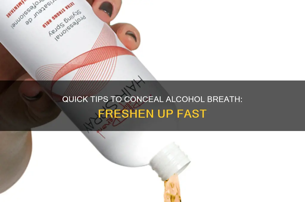 how to hide alcohol breath