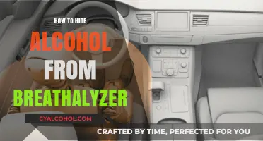 Effective Ways to Conceal Alcohol from Breathalyzer Tests