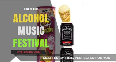 Sneak Alcohol into Music Festivals: Ultimate Guide to Discreet Smuggling