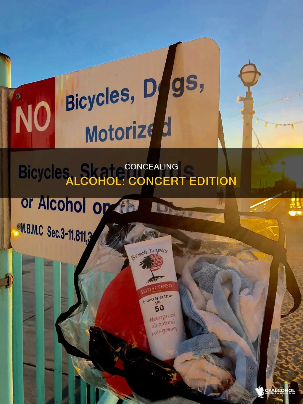 how to hide alcohol when going to a concert