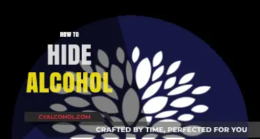 Clever Ways to Conceal Alcohol in Everyday Items and Spaces