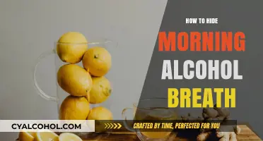 Conceal Morning Alcohol Breath: Quick Tips for Fresh Confidence