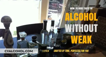 Concealing Alcohol's Taste: Strategies Beyond Dilution