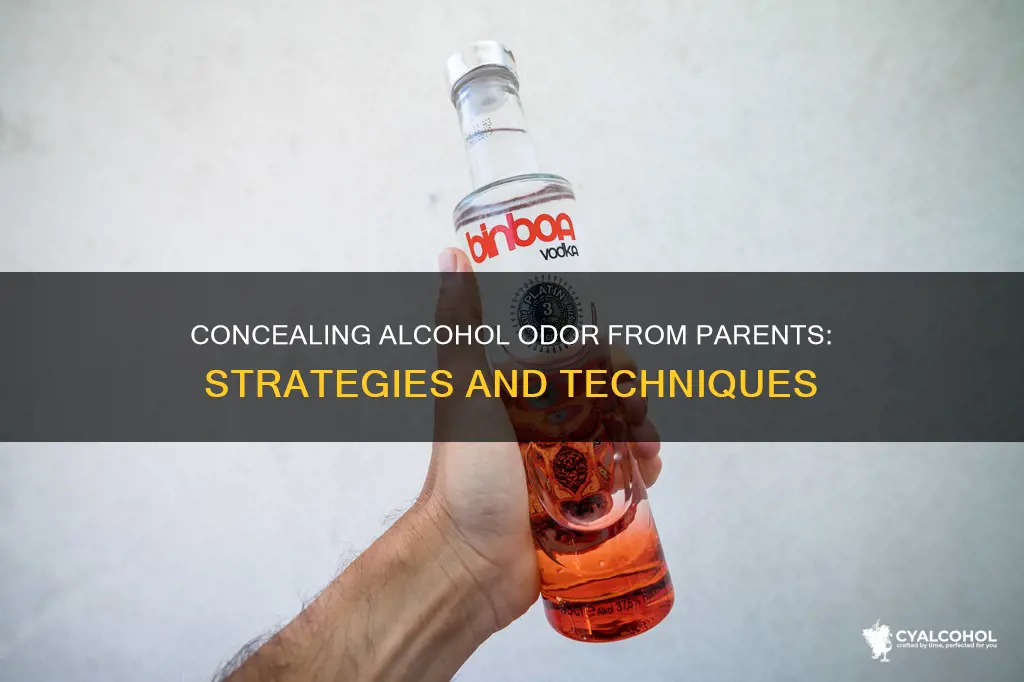 how to hide the smell of alcohol from your parents