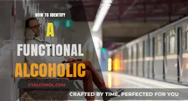 Spotting Functional Alcoholism: Signs, Behaviors, and Hidden Struggles