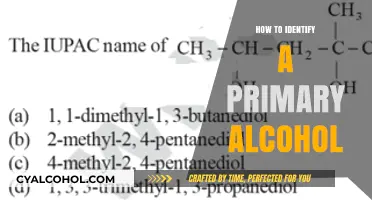 Identifying Primary Alcohols: Key Characteristics and Testing Methods