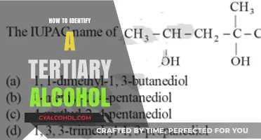 Identifying Tertiary Alcohols: Key Characteristics and Testing Methods Explained