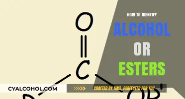 Mastering Organic Chemistry: Identifying Alcohol and Ester Functional Groups