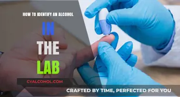 Identifying Alcohol: Lab Techniques Unveiled