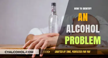 Recognizing the Signs: How to Identify an Alcohol Problem
