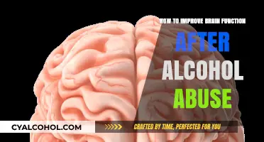 Rehabilitating Brain Function Post Alcohol Abuse