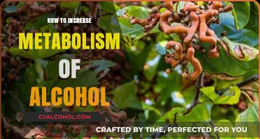 Boost Alcohol Metabolism: Effective Strategies for Faster Breakdown and Recovery