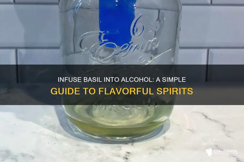 how to infuse basil into alcohol