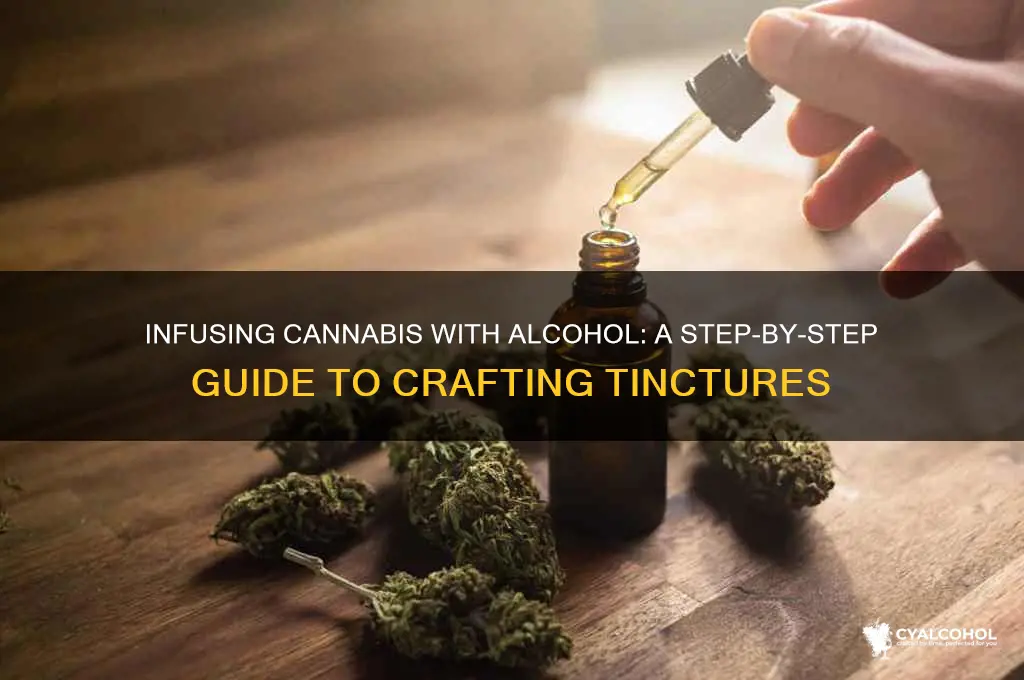 how to infuse canibus with alcohol