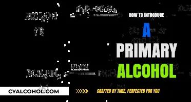 Mastering Primary Alcohol Synthesis: A Step-by-Step Introduction Guide