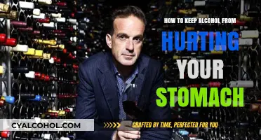 Protect Your Stomach: Strategies for Drinking Alcohol