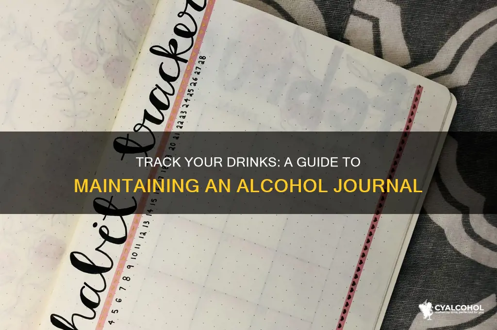 how to keep an alcohol journal