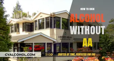 Breaking Free: How to Quit Alcohol Without AA Support