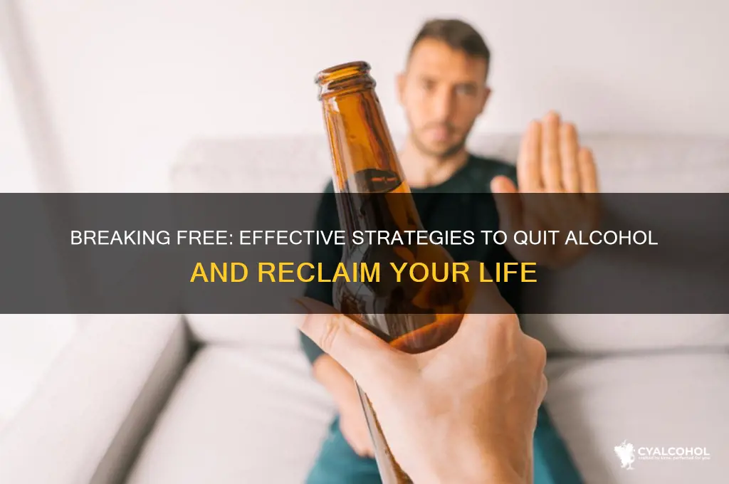 how to kicke off a alcohol