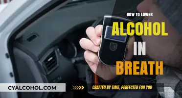 Effective Ways to Reduce Alcohol Levels in Your Breath Quickly