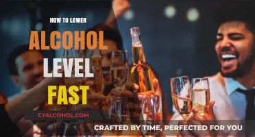 Quick Tips to Rapidly Reduce Alcohol Levels in Your System
