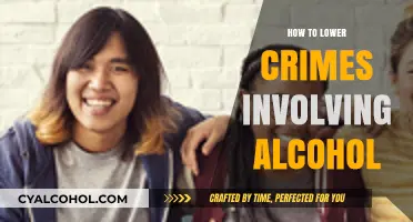 Reducing Alcohol-Related Crimes: Effective Strategies for Safer Communities