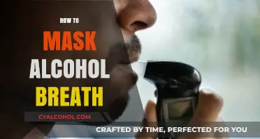 Effective Tips to Disguise Alcohol Breath Quickly and Easily