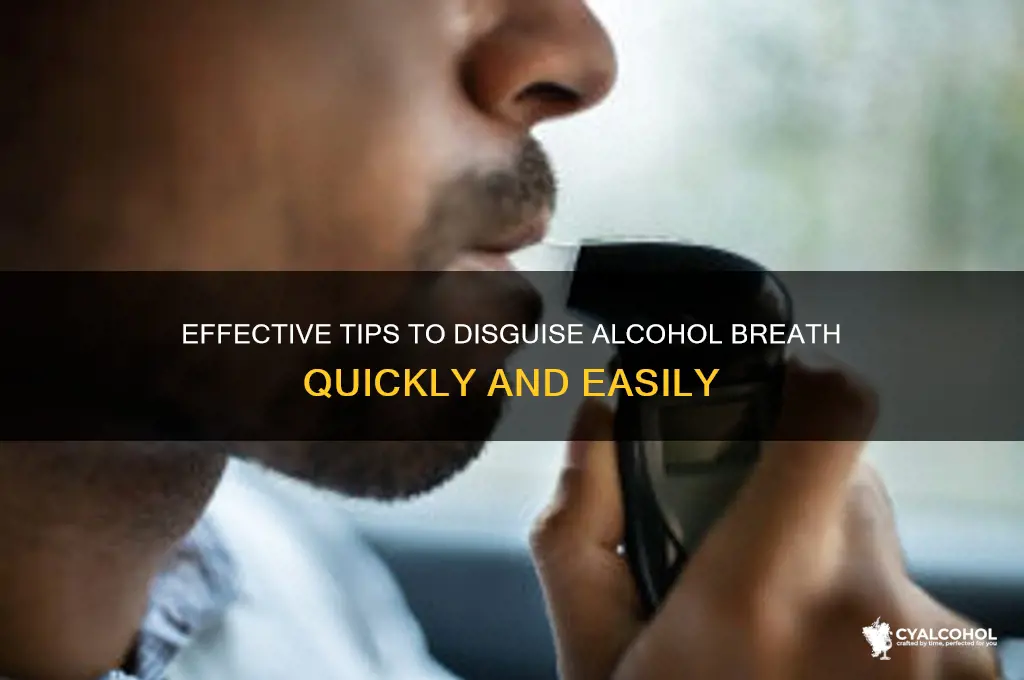 how to mask alcohol breath