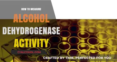 Measuring Alcohol Dehydrogenase Activity: Methods, Tips, and Best Practices