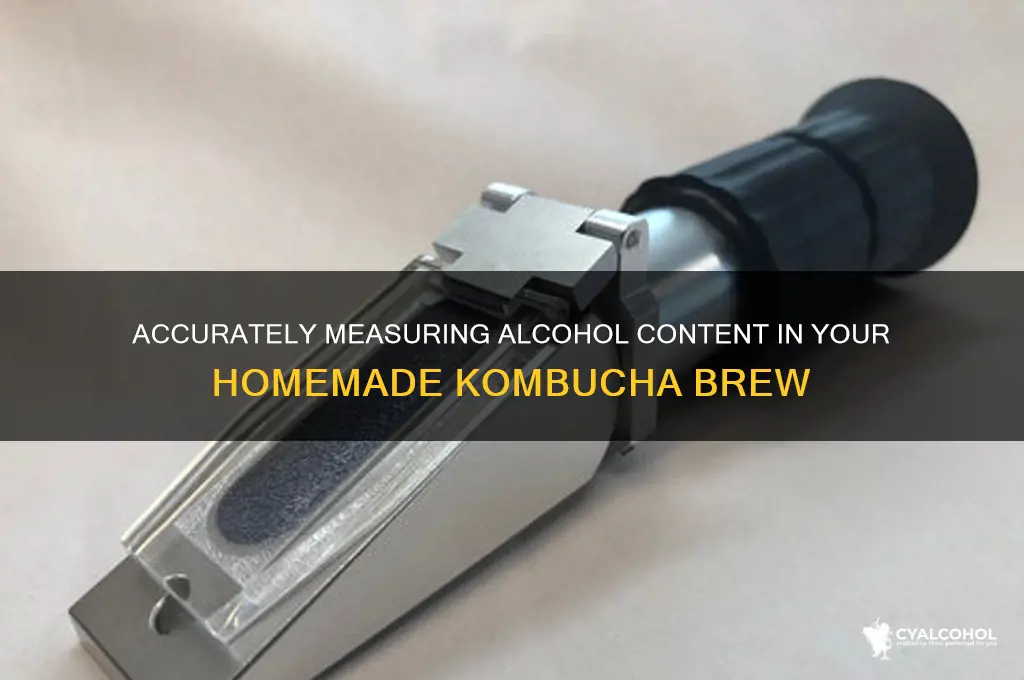 how to measure alcohol in kombucha
