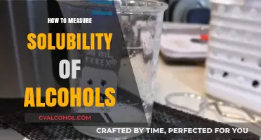Measuring Alcohol Solubility: Techniques and Best Practices for Accurate Results