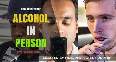 Accurate Alcohol Testing: Methods to Measure Intoxication in Individuals