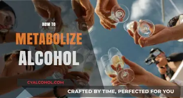 Mastering Alcohol Metabolism: Effective Strategies for Faster Breakdown and Recovery