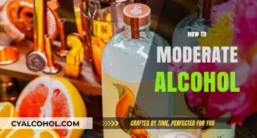 Mastering Moderation: Smart Strategies for Balancing Alcohol Consumption
