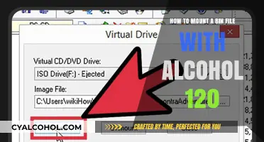 Mounting Bin Files: Alcohol 120's Easy Steps