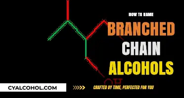 Naming Branched Chain Alcohols: A Step-by-Step Guide to IUPAC Rules