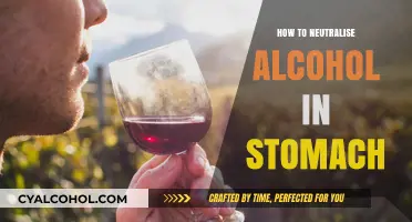 Effective Ways to Neutralize Alcohol in Your Stomach Quickly and Safely