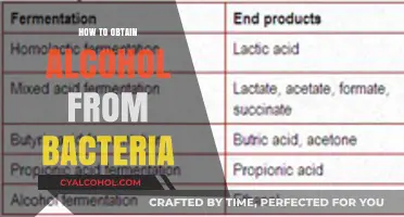 Brewing with Bacteria: A Guide to Microbial Alcohol Production