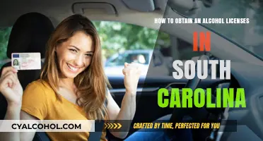Obtaining Alcohol Licenses in South Carolina: A Guide