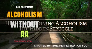 Breaking Free: Overcoming Alcoholism Without AA – A Personal Journey