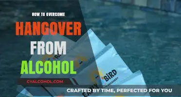 Beat the Hangover: Effective Remedies for Alcohol Recovery