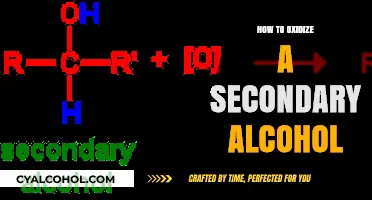 Mastering Secondary Alcohol Oxidation: A Step-by-Step Guide to Success