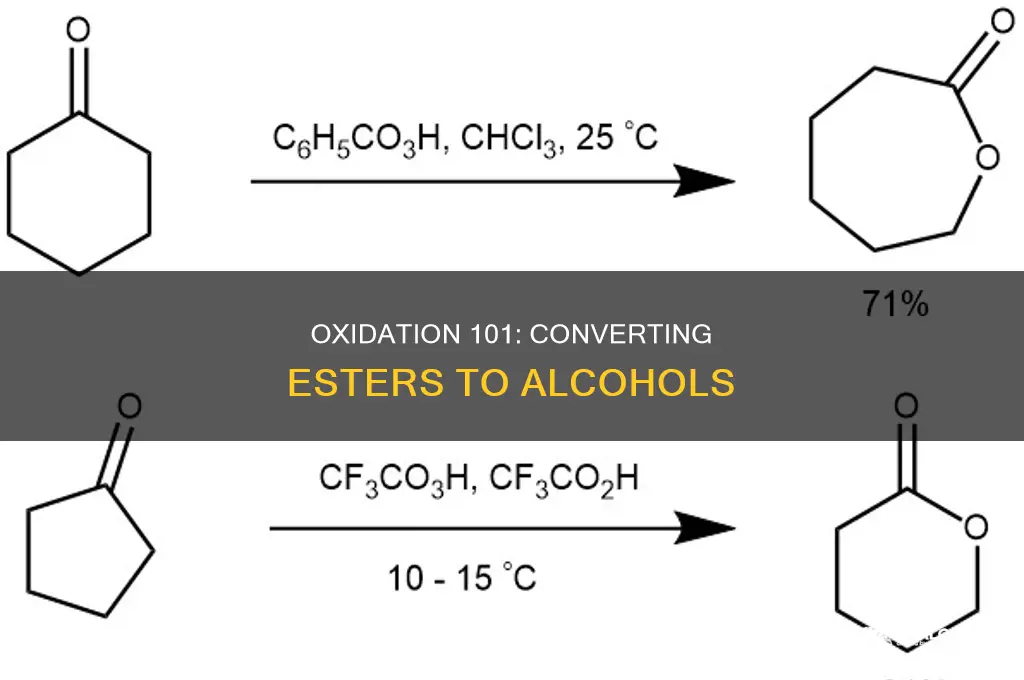 how to oxidize an ester to an alcohol
