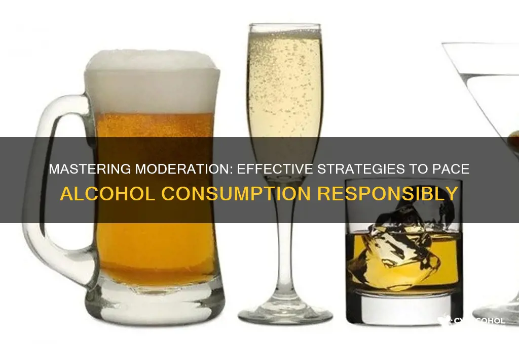 how to pace alcohol