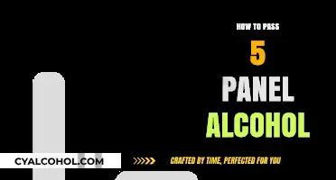 Effective Strategies to Pass a 5-Panel Alcohol Test Successfully