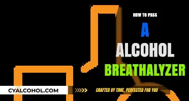 Effective Strategies to Pass an Alcohol Breathalyzer Test Safely