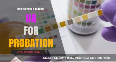 Pass Probation's Alcohol UA: Strategies for Success